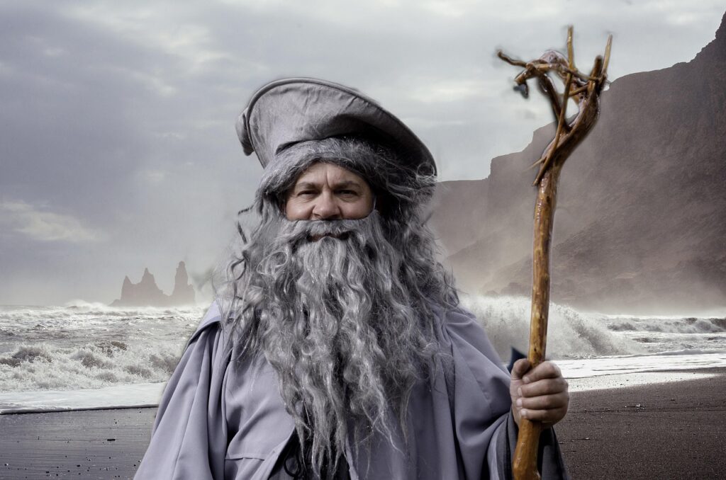 gandalf, lord of the rings, cosplay, festival, france, cider dragon, suit, fantasy, sorcerer, wizard, coat, face, old, hat, beard, gandalf, wizard, wizard, wizard, wizard, wizard