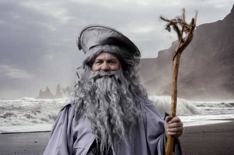gandalf, lord of the rings, cosplay, festival, france, cider dragon, suit, fantasy, sorcerer, wizard, coat, face, old, hat, beard, gandalf, wizard, wizard, wizard, wizard, wizard
